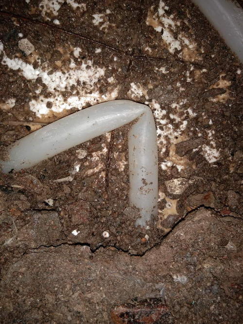 靖安堵点精准查找